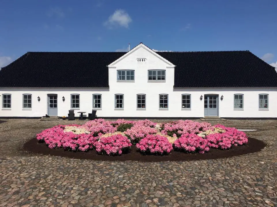 76784419_2546520915454783_8121550996573782016_n