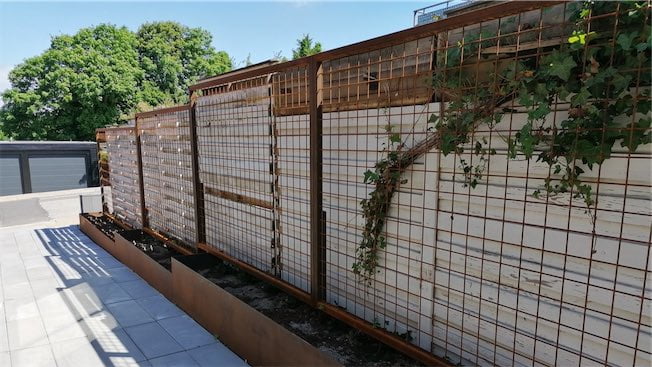 Træ- og metalhegn med klatreplanter på terrasse