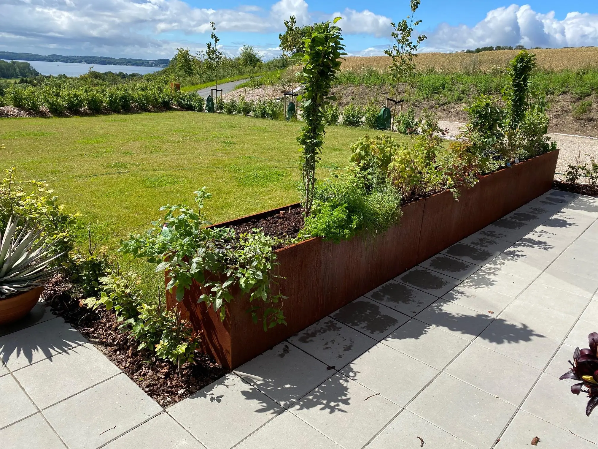 cortenstål højbed - Landsbysmeden - Mads Soeborg IMG 1276 - Cortenstål højbed Mads_Soeborg_IMG_1276