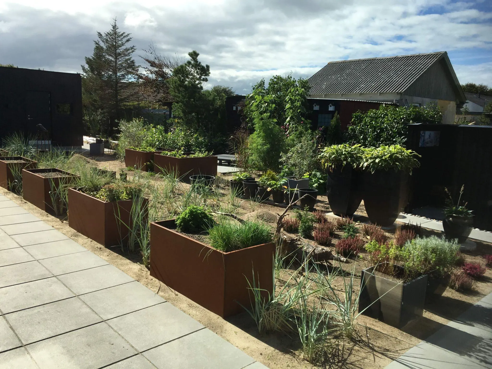 cortenstål højbed - Landsbysmeden - Mads Soeborg received 323941768872156 - Cortenstål højbed Mads_Soeborg_received_323941768872156