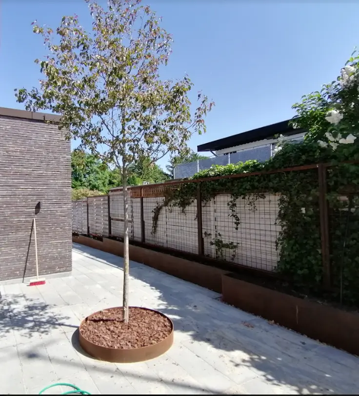 Lille træ i moderne gårdhave med hegn